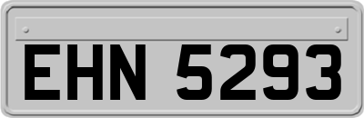 EHN5293