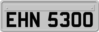 EHN5300