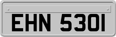 EHN5301