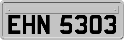 EHN5303