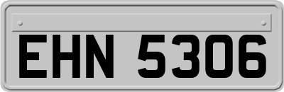 EHN5306