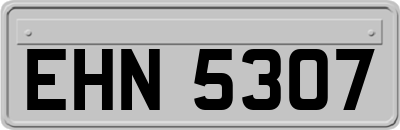 EHN5307