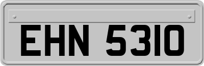 EHN5310