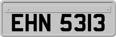 EHN5313