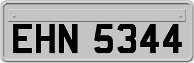EHN5344
