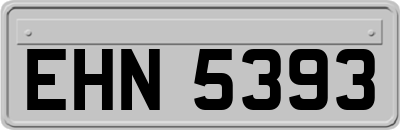 EHN5393