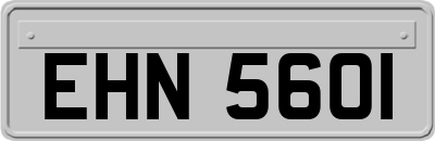 EHN5601