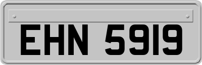 EHN5919