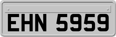 EHN5959