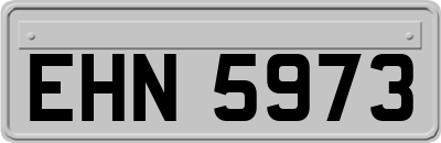 EHN5973
