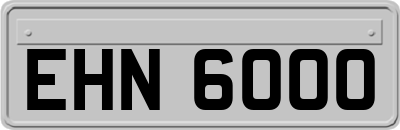 EHN6000