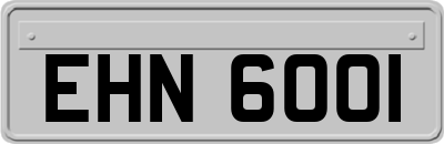 EHN6001