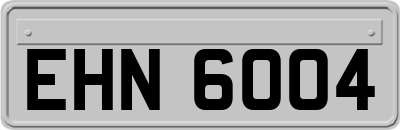 EHN6004