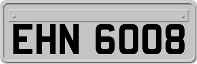 EHN6008