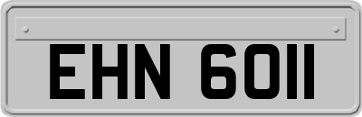 EHN6011