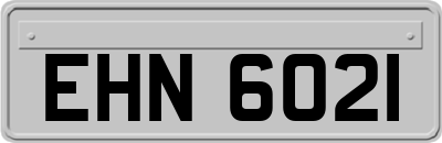 EHN6021