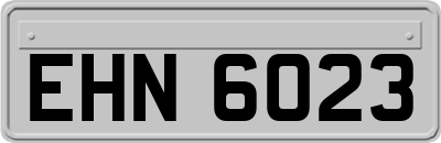 EHN6023