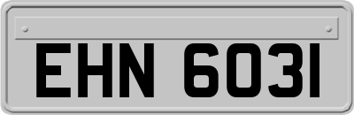EHN6031