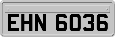 EHN6036