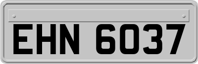EHN6037