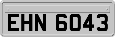 EHN6043