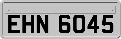 EHN6045