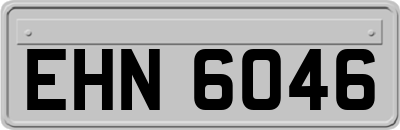 EHN6046