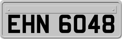 EHN6048