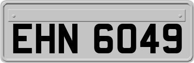 EHN6049