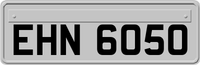 EHN6050
