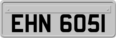 EHN6051