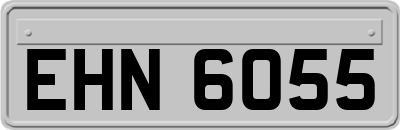 EHN6055