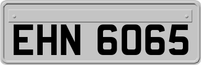 EHN6065