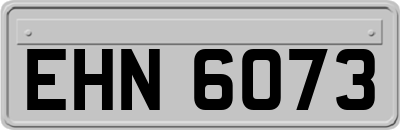 EHN6073