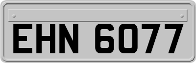 EHN6077