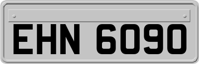 EHN6090