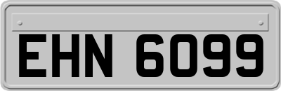EHN6099