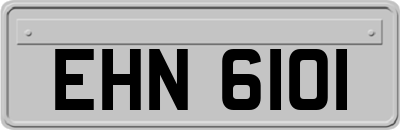 EHN6101