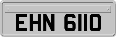 EHN6110