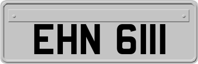 EHN6111