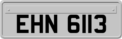 EHN6113