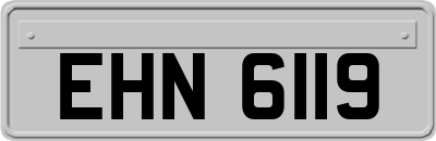 EHN6119