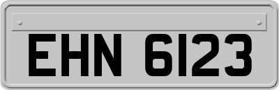EHN6123