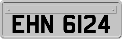EHN6124
