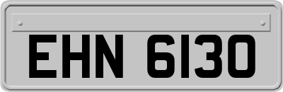EHN6130