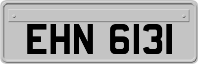 EHN6131