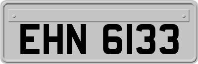 EHN6133