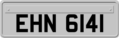EHN6141