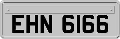 EHN6166