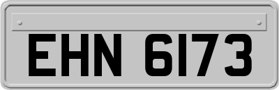 EHN6173